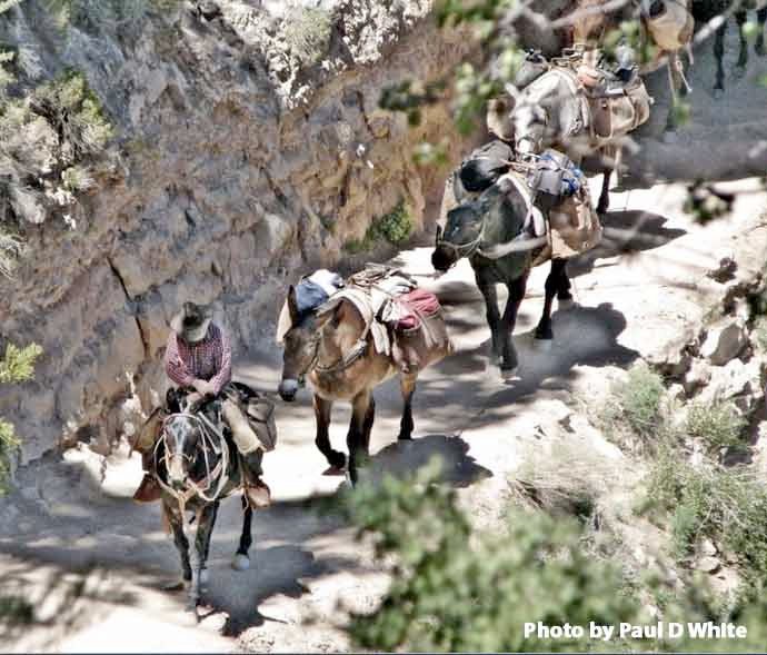 Duffel-Service-Grand-Canyon-Rafting (1)